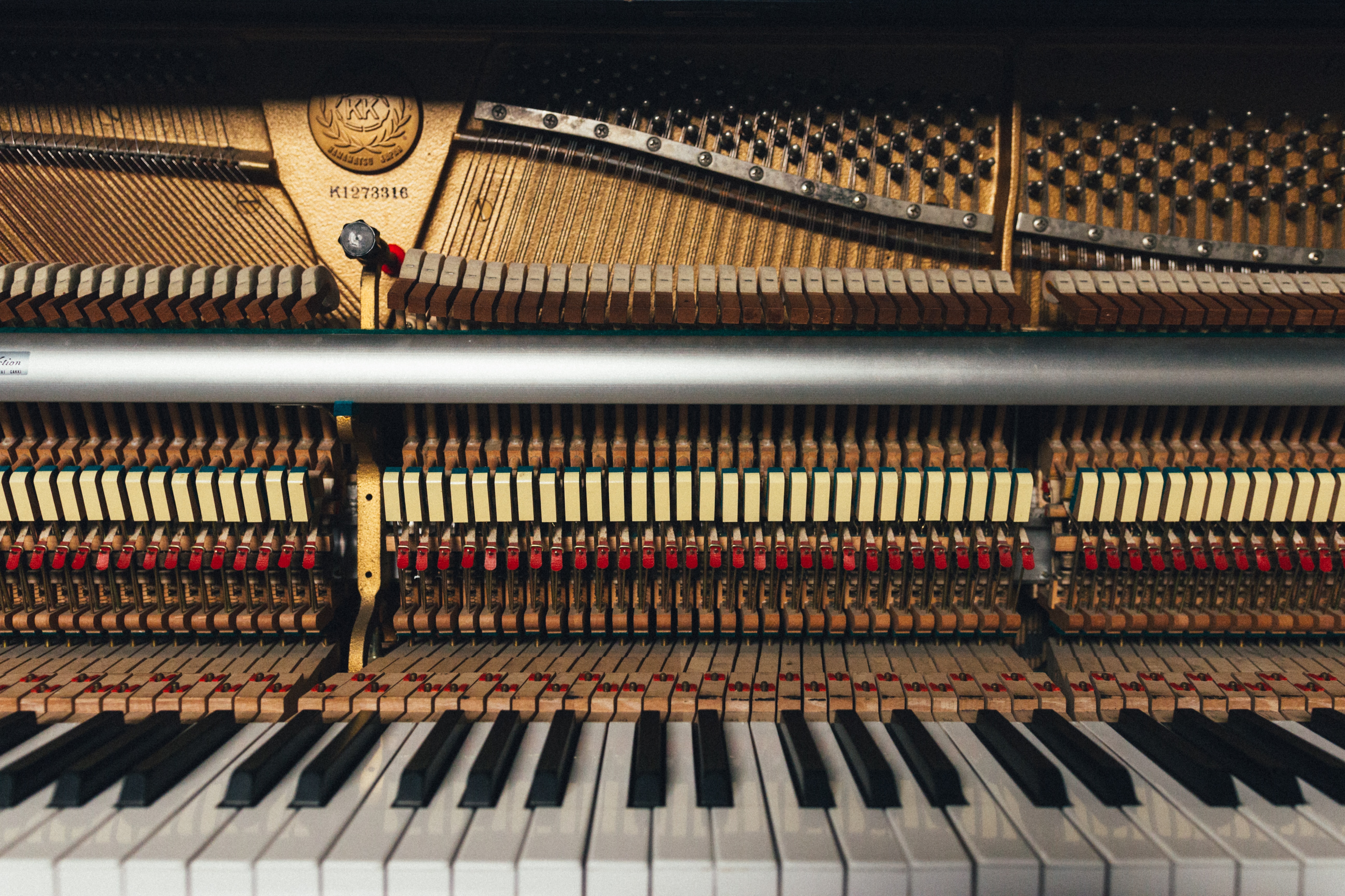 Photo by Markus Gjengaar on Unsplash